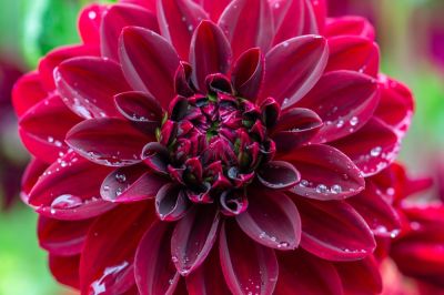 Little To No Maintenance Required!